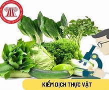 Danh Mục Hs Kiểm Dịch Thực Vật