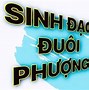 Ngón Tay Cái Có Hình Mắt Phượng