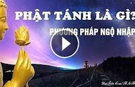 Phật Tánh Là Gì Và Phương Pháp Khai Ngộ