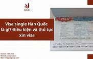 Visa Single Hàn Là Gì